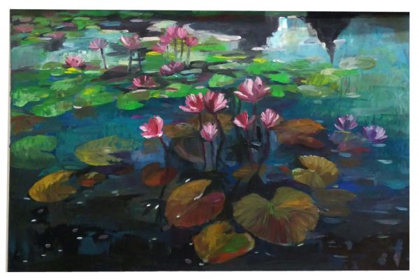 Water lily lake