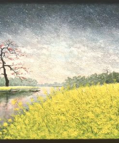 Canola Flower Season By the River