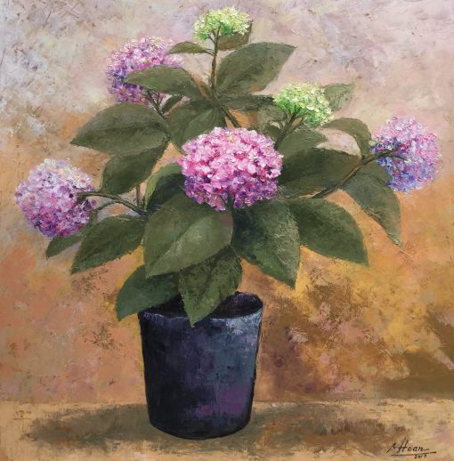 Hydrangea