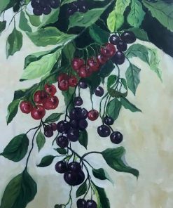 Bunch of cherries