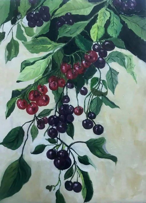 Bunch of cherries